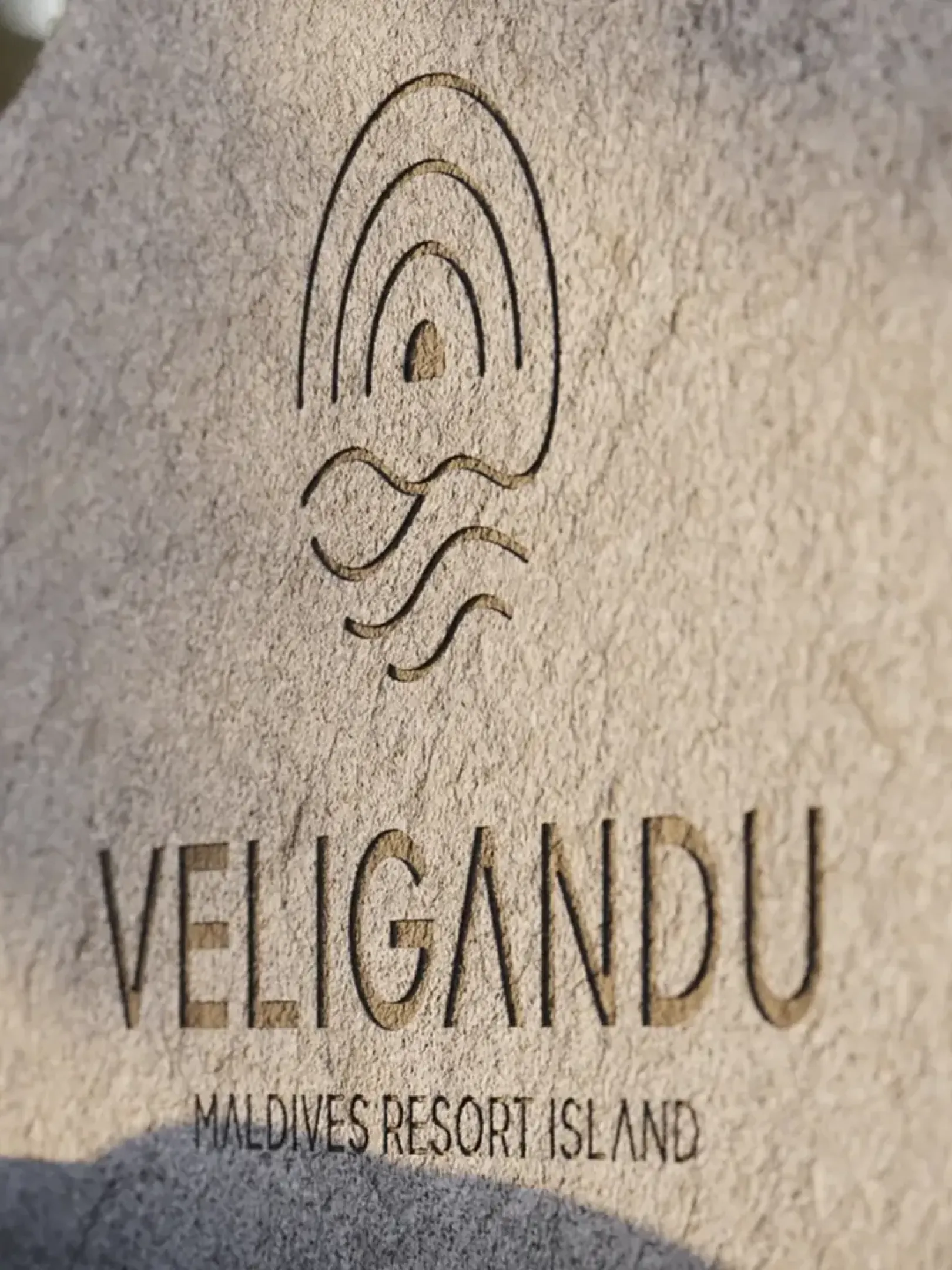Veligandulogo(1)
